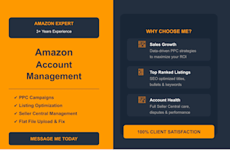manage your amazon seller account professionally