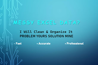 clean, format and organize excel data professionally