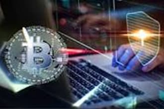 do bitcoin roadmap to reclaims crypto asset investigator