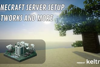 entirely setup a minecraft server