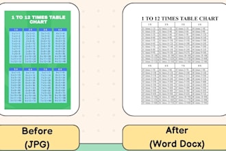retype PDF to word with high accuracy and fast delivery