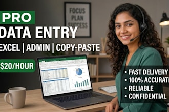 do professional data entry work