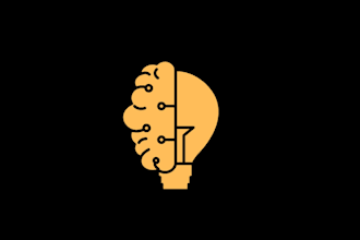 provide professional business consultancy services