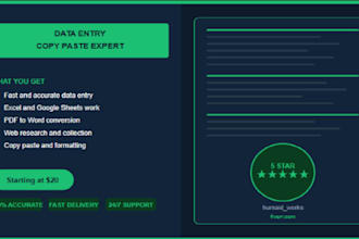do fast and accurate data entry and copy paste work