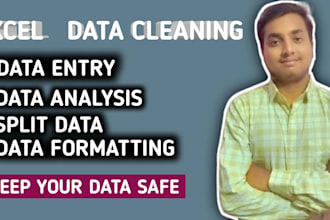 clean, format, spilt, excel data for you