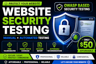 perform affordable website vapt and security testing