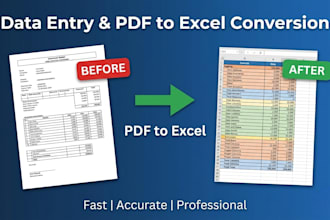 do accurate data entry and PDF to excel conversion