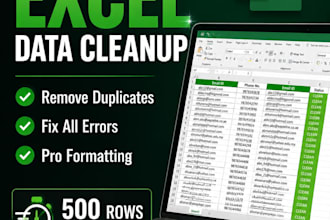 do excel spreadsheet  cleanup  and data entry in 6 hours