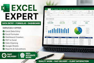 fast and accurate excel data entry work