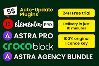 install elementor pro, astra pro, crocoblock and astra agency