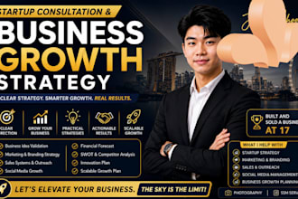 provide startup consultation and business growth strategy