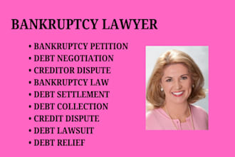 handle bankruptcy, debt relief, creditor disputes, and debt settlement matters