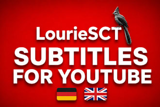 provide accurate subtitles for your youtube videos