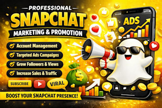 do professional snapchat marketing and promotion