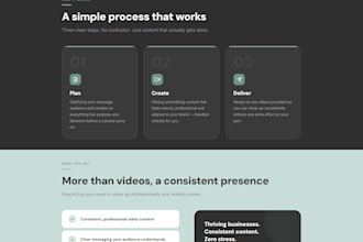 build pro business website