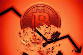 help you set up bitcoin wallet and learn crypto step by step