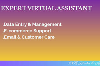 be your expert virtual assistant for e commerce and data entry