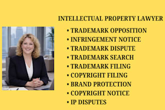 handle trademark disputes, copyright claims, and intellectual property matters