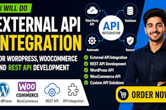 do external api integration for wordpress, woocommerce and rest api development