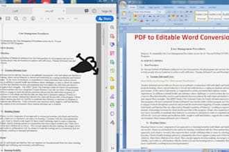 convert PDF to word