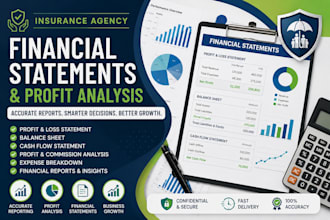 prepare insurance agency financial statements and profit analysis