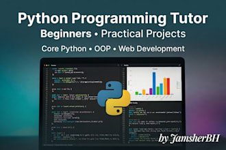 tutor python programming with practical coding lessons