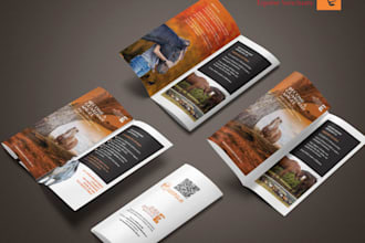 design professional business brochure, trifold brochure design