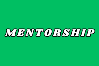 do lifestyle coaching and mentorship