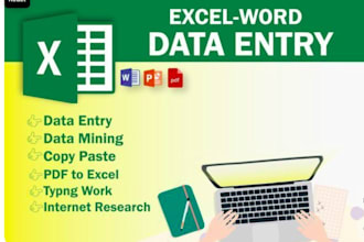 do fast data entry excel typing and copy paste work
