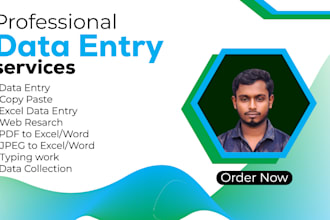 do accurate data entry,copy paste,excel and word