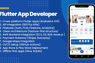 develop a professional flutter mobile app with clean architecture