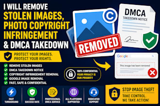remove stolen images, photo copyright infringement and dmca takedown