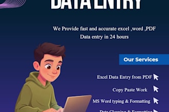 do fast and accurate excel, word, PDF data entry in 24 hours