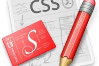fix the css problem