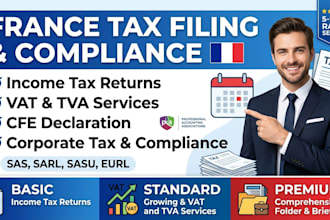 prepare and file france income tax return, vat, cfe, and french business tax