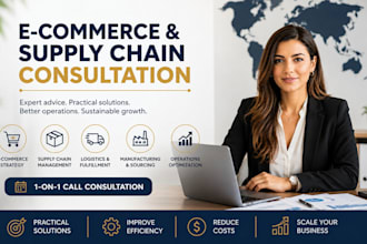 provide supply chain, logistics and ecommerce business consultancy