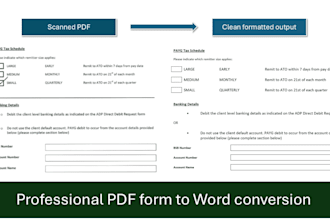 convert PDF to word with professional formatting