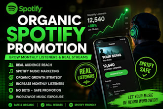 ido professional spotify music promotion