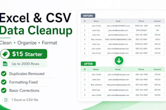 clean and organize your excel or CSV data