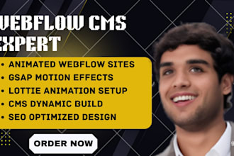 webflow cms design, webflow website custom design, copy clone duplicate website