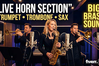 record trumpet trombone saxophone brass horn section
