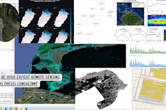 be your expert remote sensing and gis thesis consultant