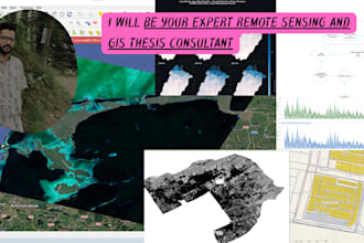 be your gis remote sensing and hydrology thesis consultant