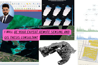 be your expert gis remote sensing and hydrology thesis consultant