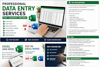 do professional data entry, exel work, PDF to exel or word