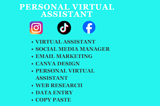be your reliable instagram and facebook virtual assistant