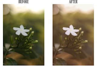 professionally color grade your photos