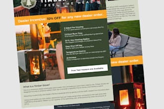 design a professional flyer for your business or product