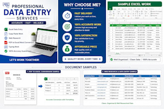 accurate data entry, copy paste tasks
