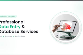 provide excel data formatting and data cleaning services